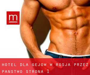 Hotel dla gejów w Rosja przez Państwo - strona 1