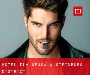 Hotel dla gejów w Steinburg District