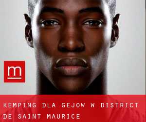 Kemping dla gejów w District de Saint-Maurice