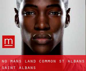 No Man's Land Common St Albans (Saint Albans)