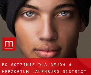 Po godzinie dla gejów w Herzogtum Lauenburg District