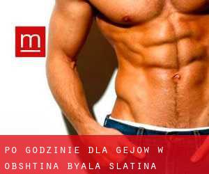 Po godzinie dla gejów w Obshtina Byala Slatina