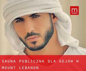 sauna publiczna dla gejów w Mount Lebanon