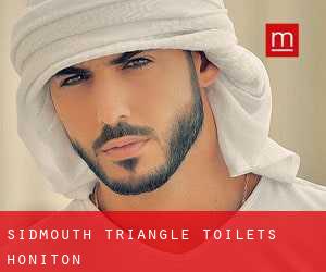 Sidmouth Triangle toilets Honiton