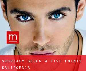 Skórzany gejów w Five Points (Kalifornia)