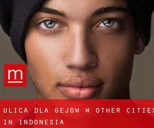 Ulica dla gejów w Other Cities in Indonesia