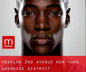 Veselka 2nd Avenue New York (Gashouse District)