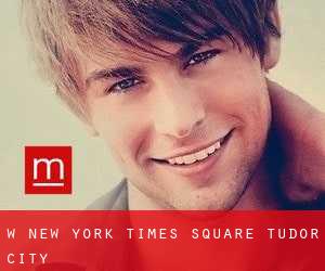 W New York - Times Square (Tudor City)