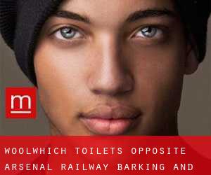 Woolwhich toilets, opposite Arsenal railway (Barking and Dagenham)